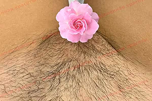 Иллюстрация: до начала